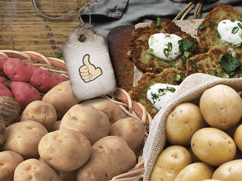 Как правильно подобрать сорт картофеля