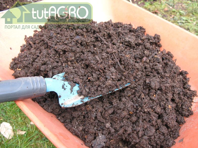 Почва устала - tutAGRO