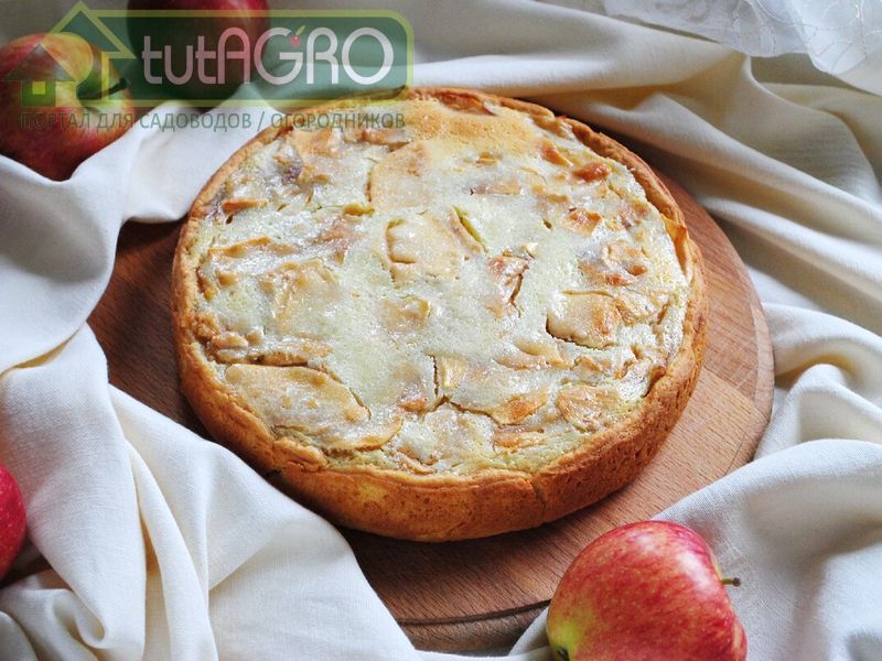 Яблочный пирог «Неженка» - tutAGRO