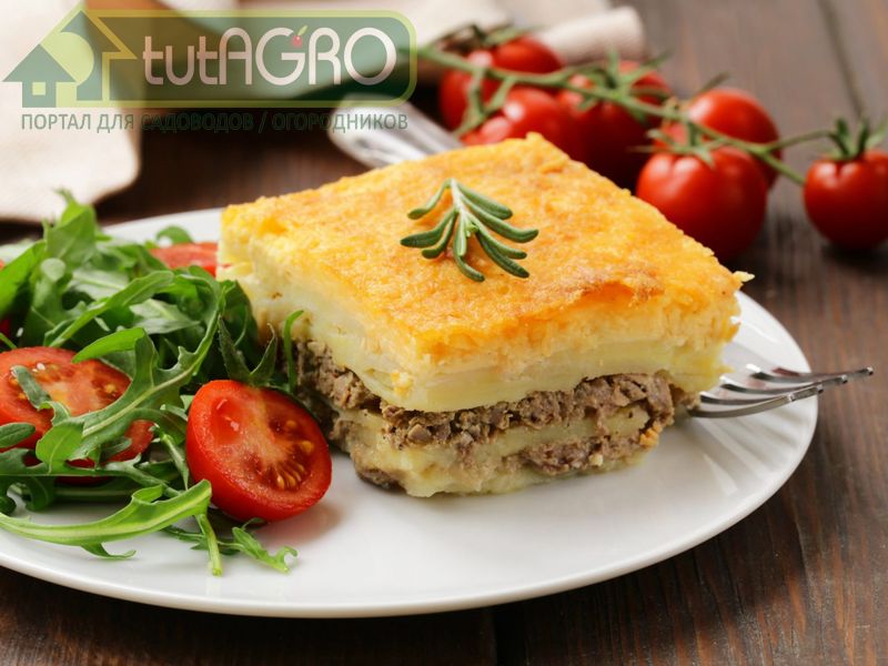 Картофельная запеканка с мясной начинкой - tutAGRO