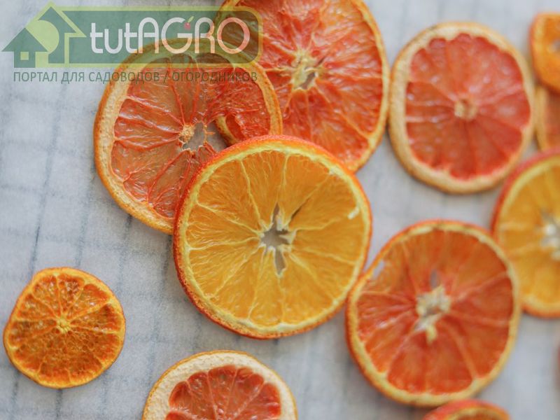 Рецепт апельсиновых чипсов - tutAGRO
