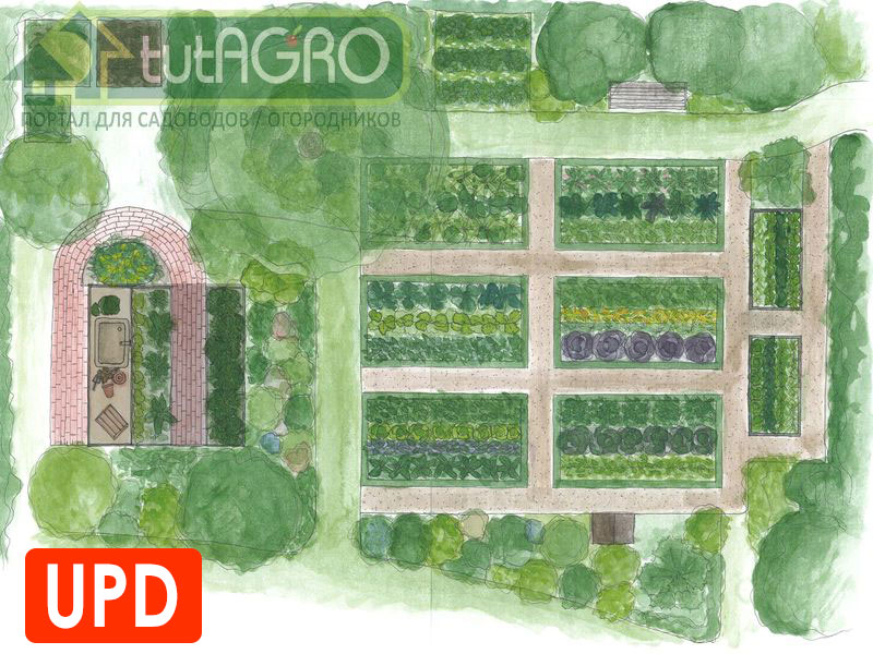 Планирование огорода - tutAGRO