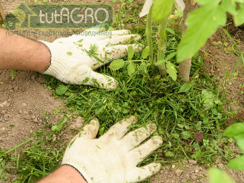 Субстрат для почвы «Друг садовода и огородника» - tutAGRO