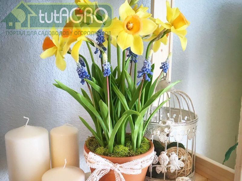 Обычно в цветочной лазанье используют 3 слоя - tutAGRO