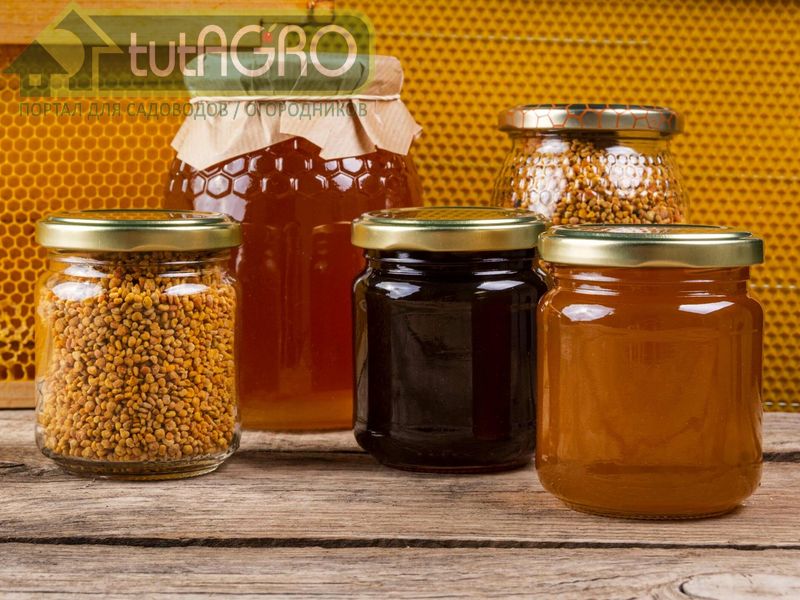 Мед под названием «вранье» - tutAGRO